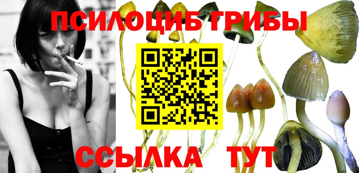 Псилоцибиновые грибы мицелий Великий Устюг
